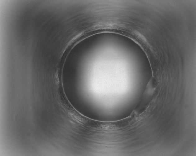 X0000072521218200607290149