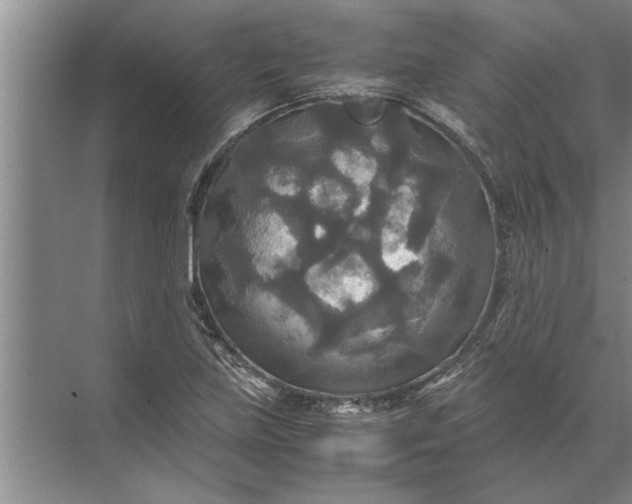 X0000072521219200607290150