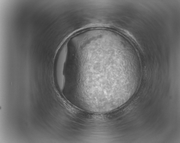 X0000072521220200607290150