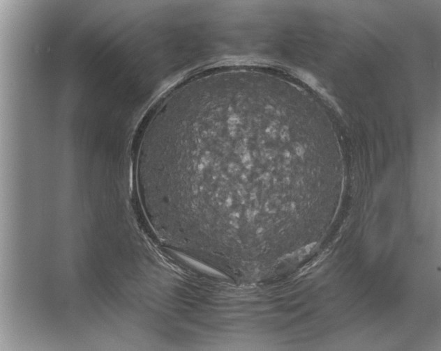 X0000072521221200607290150