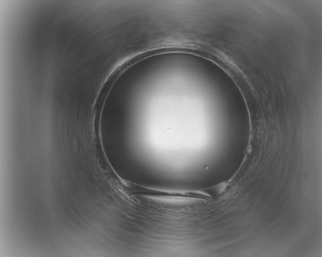 X0000072521222200607290150