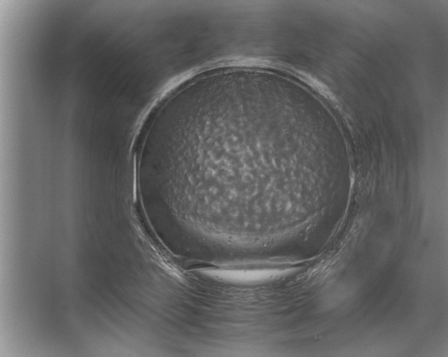 X0000072521223200607290150