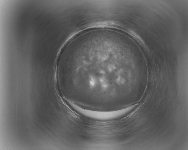 X0000072521224200607290150