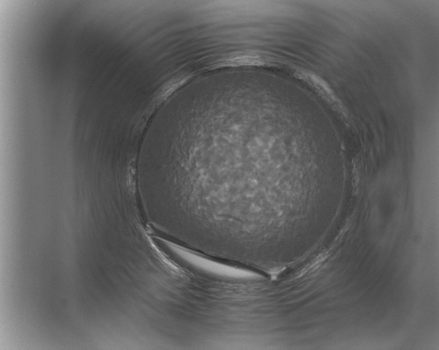 X0000072521225200607290150