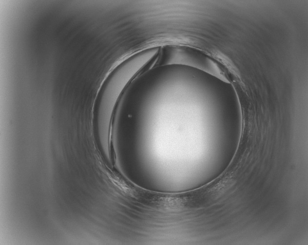 X0000072521226200607290150