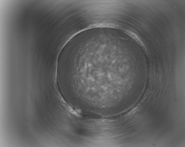 X0000072521228200607290150