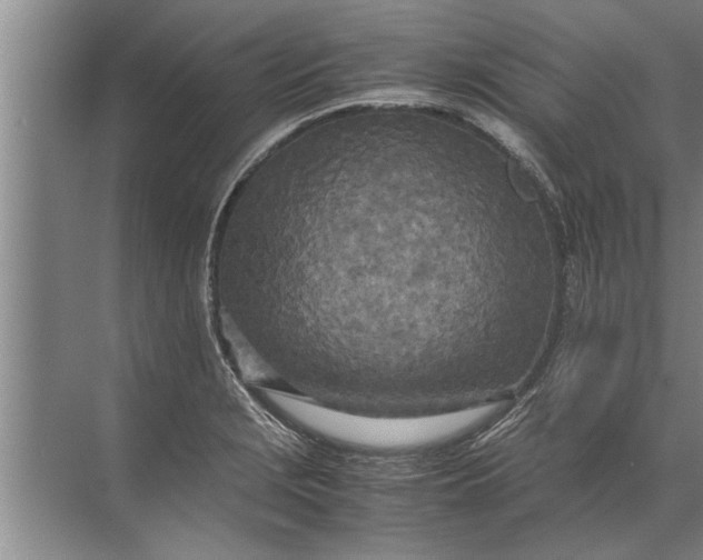 X0000072521229200607290150