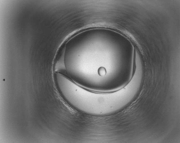 X0000072521230200607290150