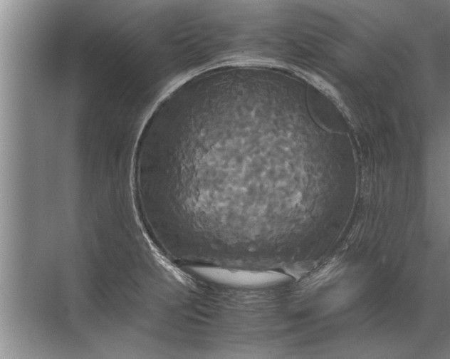 X0000072521231200607290150