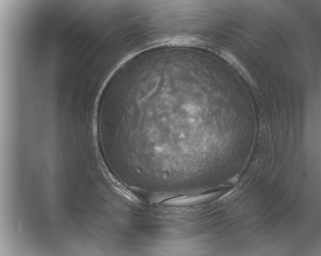 X0000072521232200607290150