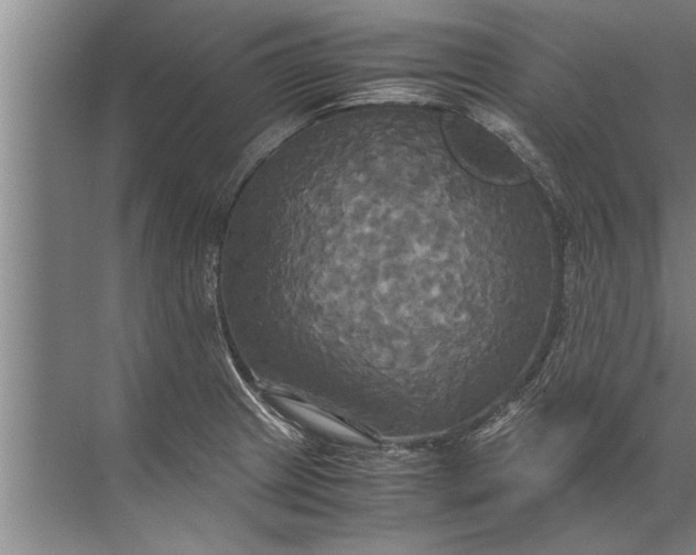 X0000072521233200607290150