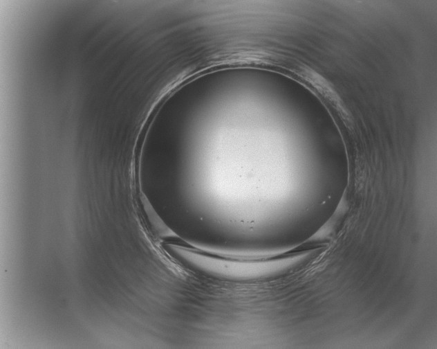 X0000072521234200607290150