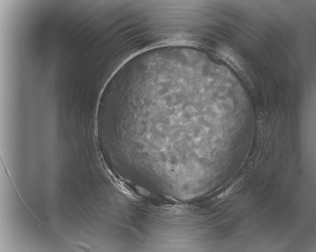 X0000072521236200607290150