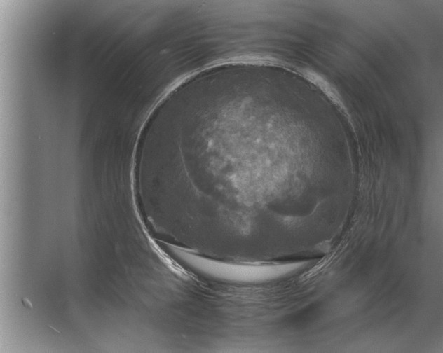 X0000072521237200607290150