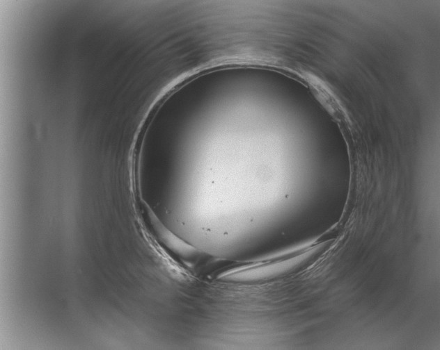 X0000072521238200607290150