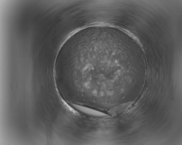 X0000072521239200607290150