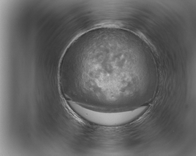 X0000072521240200607290150