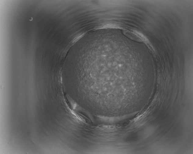 X0000072521241200607290150