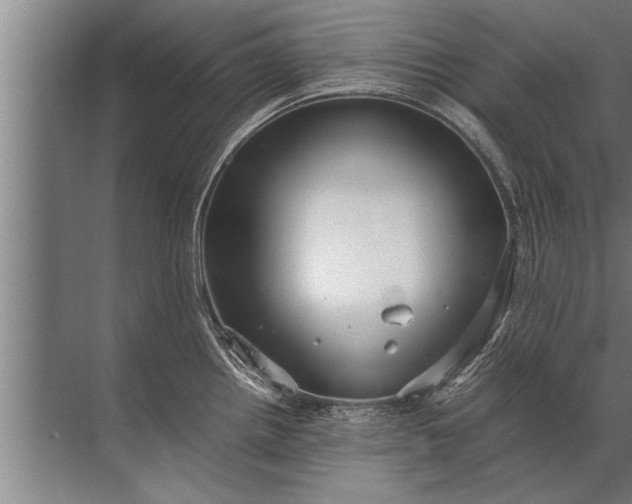 X0000072521242200607290150