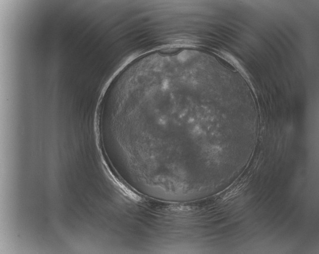 X0000072521243200607290150