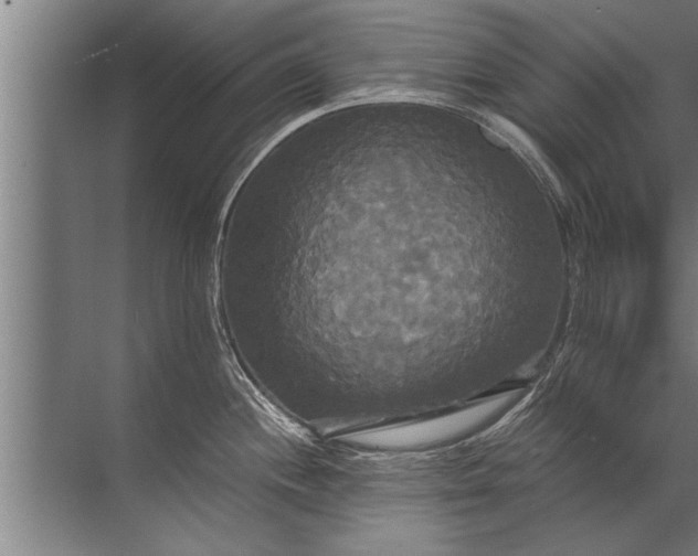 X0000072521244200607290150