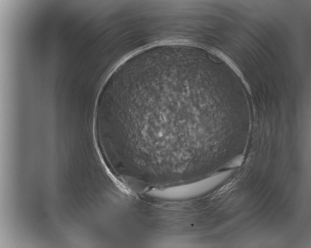 X0000072521245200607290150