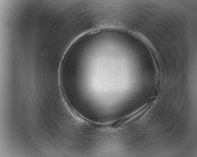 X0000072521246200607290150