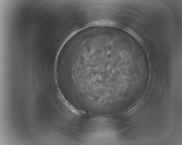 X0000072521248200607290150