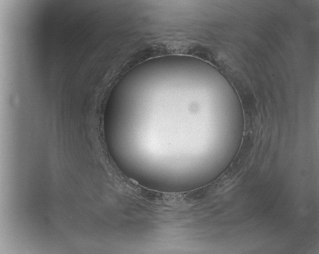 X0000072521249200607290149