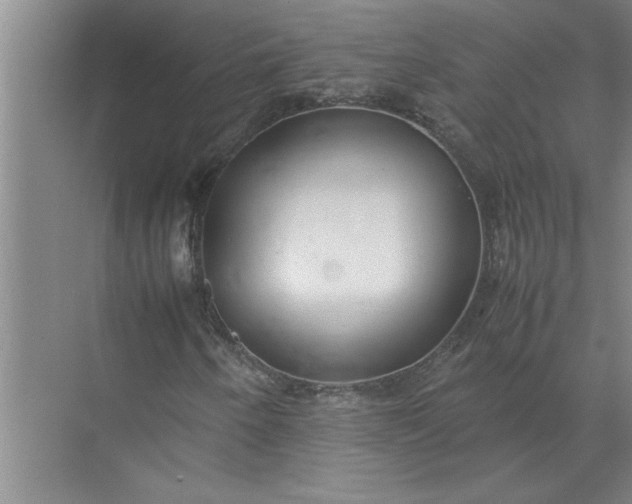 X0000072521250200607290149