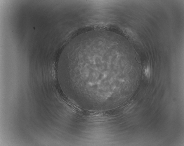 X0000072521252200607290149