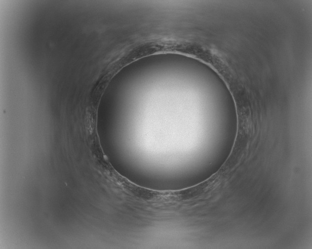 X0000072521253200607290149