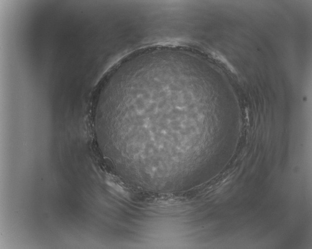 X0000072521256200607290149