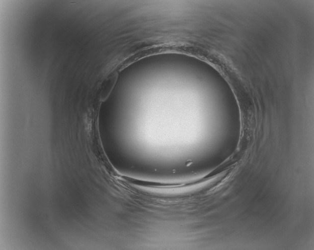 X0000072521257200607290149