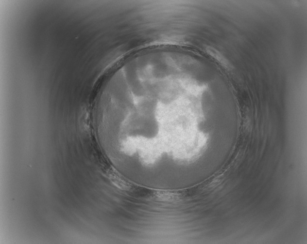 X0000072521258200607290149