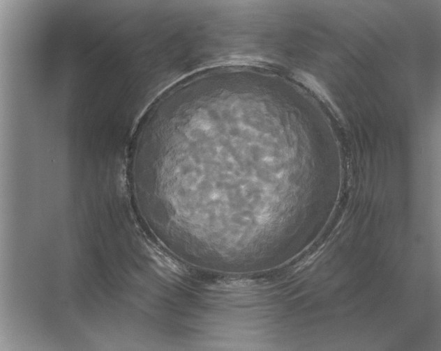 X0000072521260200607290149