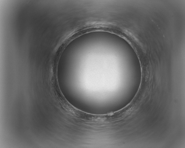 X0000072521261200607290149