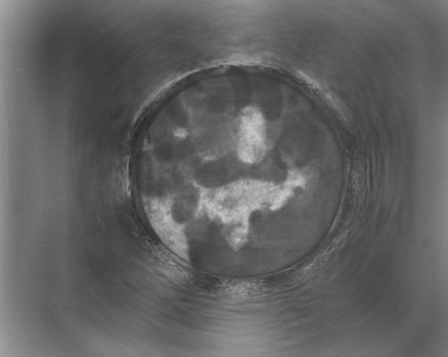 X0000072521262200607290149