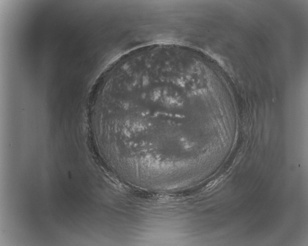 X0000072521263200607290149