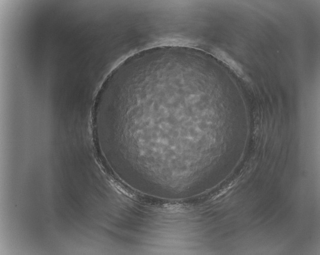 X0000072521264200607290149