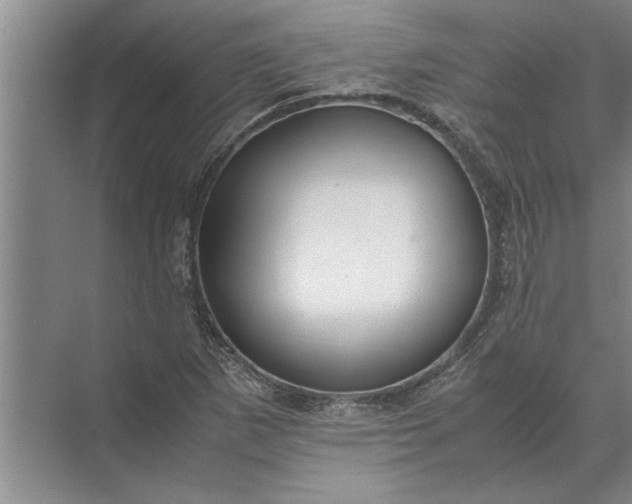 X0000072521265200607290149