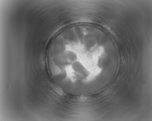 X0000072521266200607290149