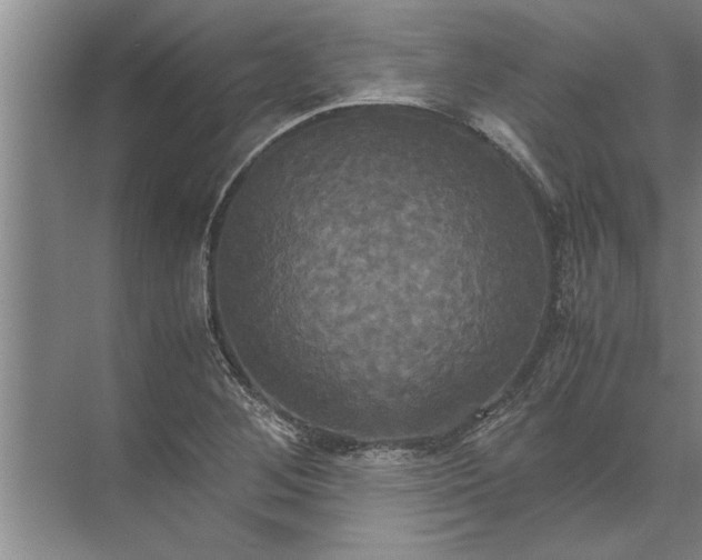 X0000072521268200607290149