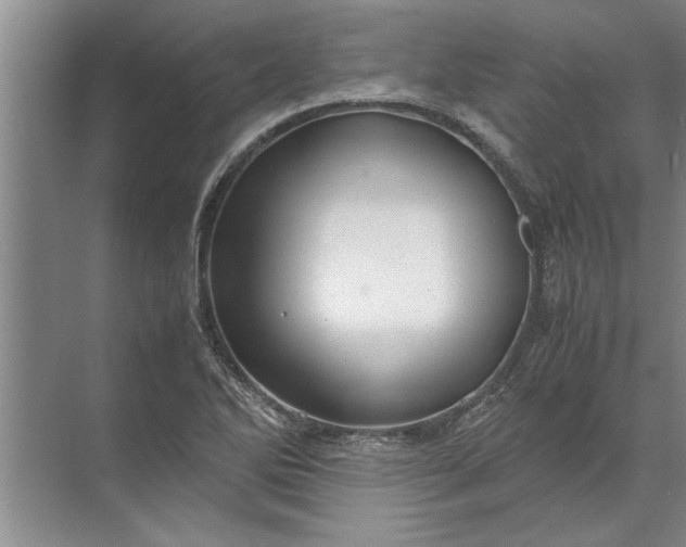 X0000072521270200607290149