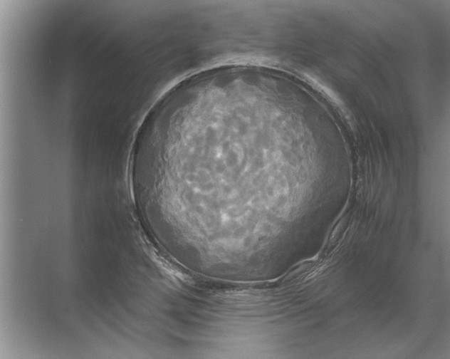 X0000072521272200607290149