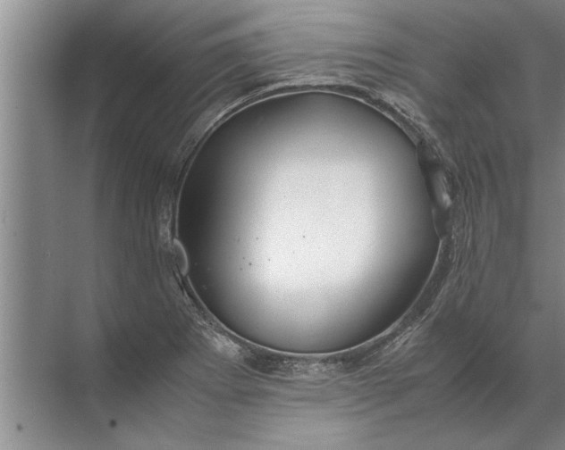 X0000072521273200607290149