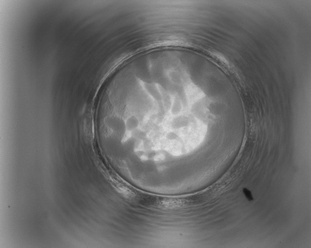 X0000072521274200607290149