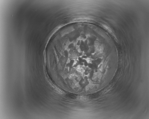 X0000072521275200607290149