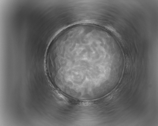 X0000072521278200607290149