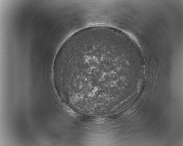 X0000072521279200607290149